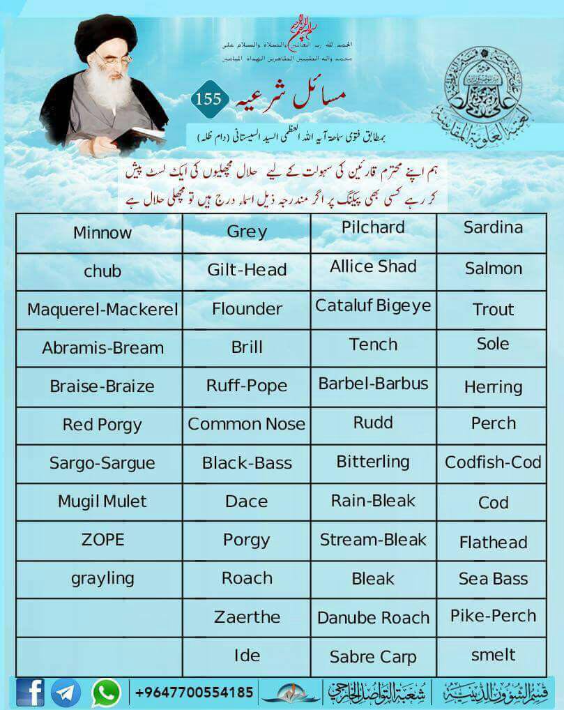 halal food list